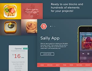 Sally Blocks