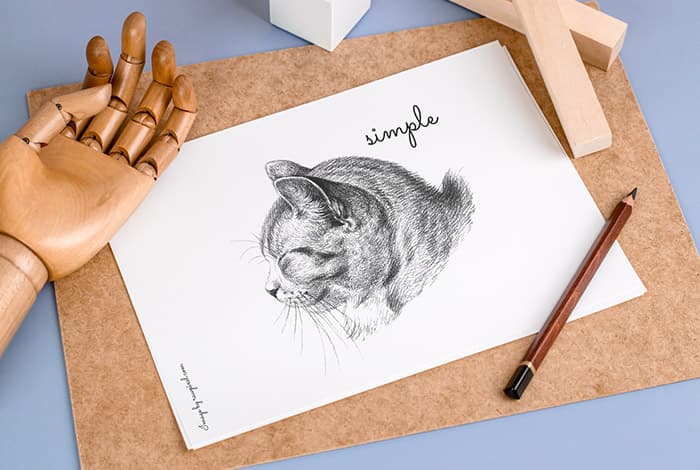 Free drawing mockup