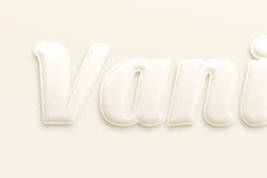 Vanilla Text Effect