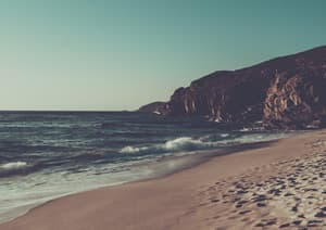 ApertureVintage Free Photos