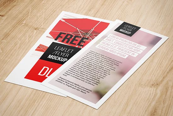 DL flyer mockup
