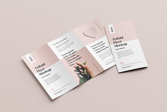 Free 2,85×5,5 in flyer mockup