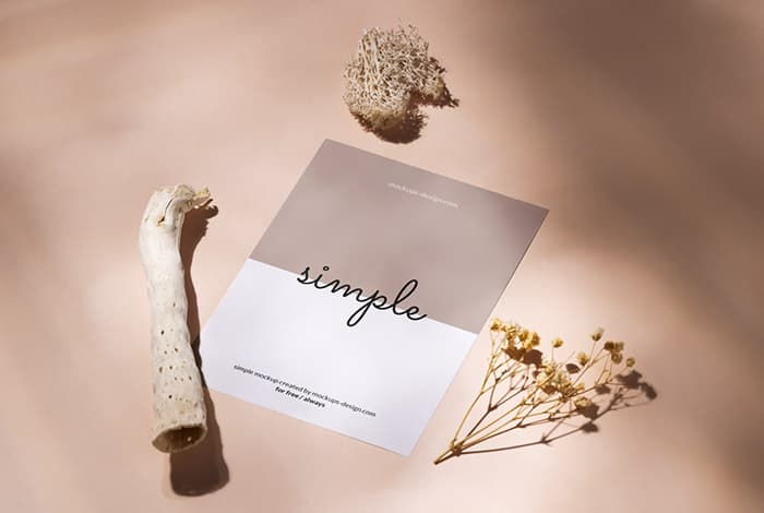 Free A6 flyer with dried plants mockup