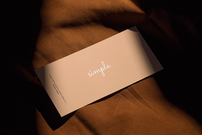 DL flyer on fabric mockup