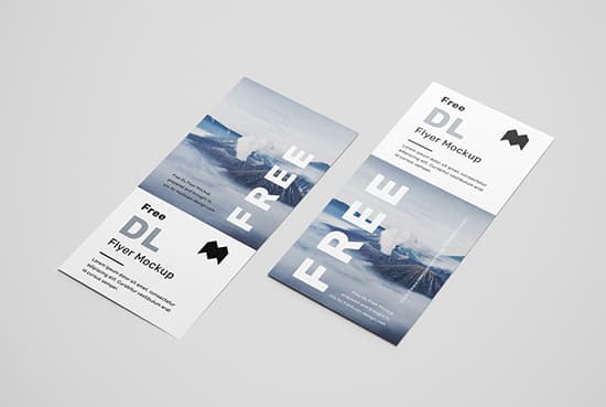 Free simple DL flyers mockup