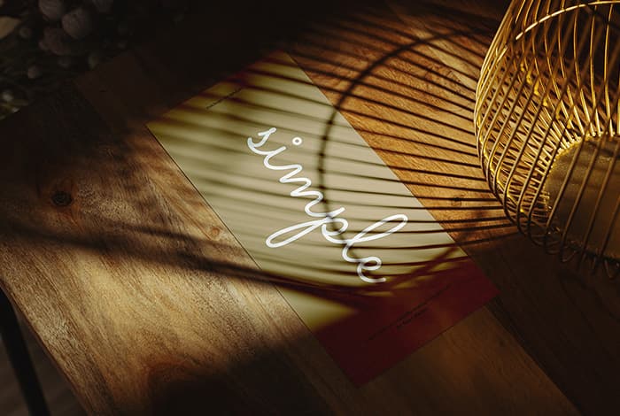DL flyer in shadow mockup
