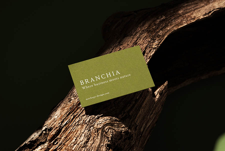 Natural business card mockup